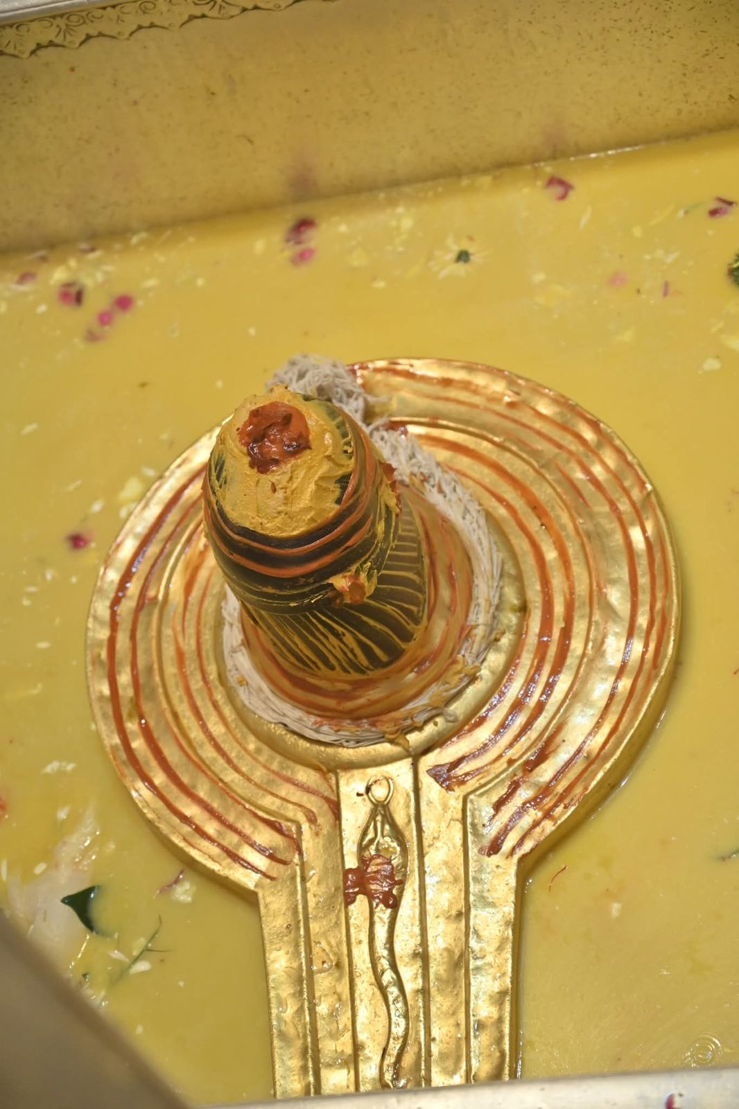 Shree Kashi Vishwanath Temple